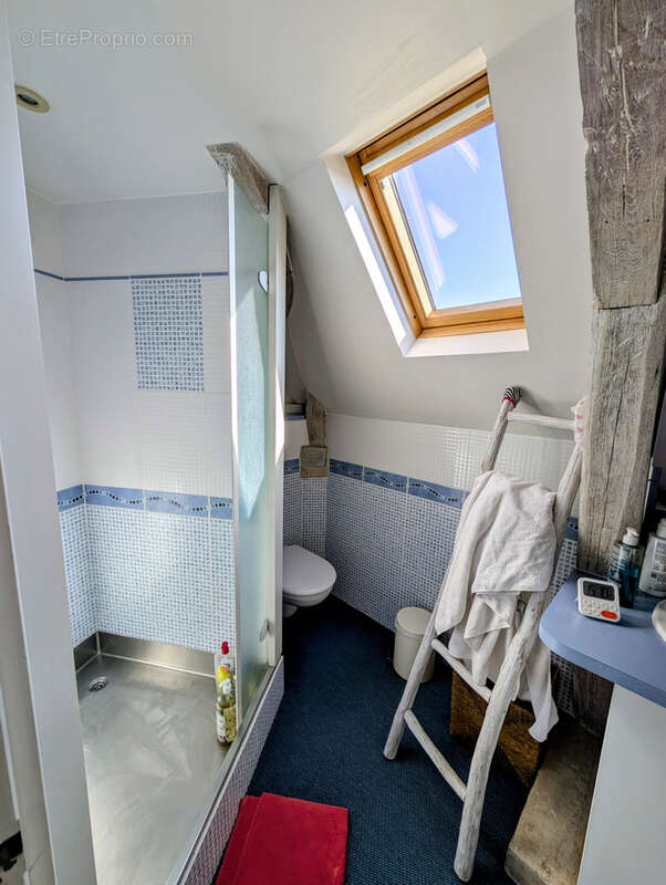 Maison à SAINT-JEAN-DE-BRAYE