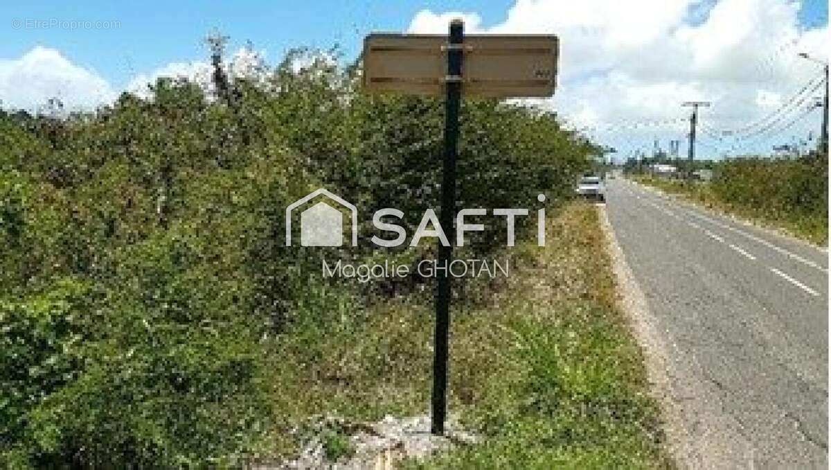 Photo 2 - Terrain à LE MOULE