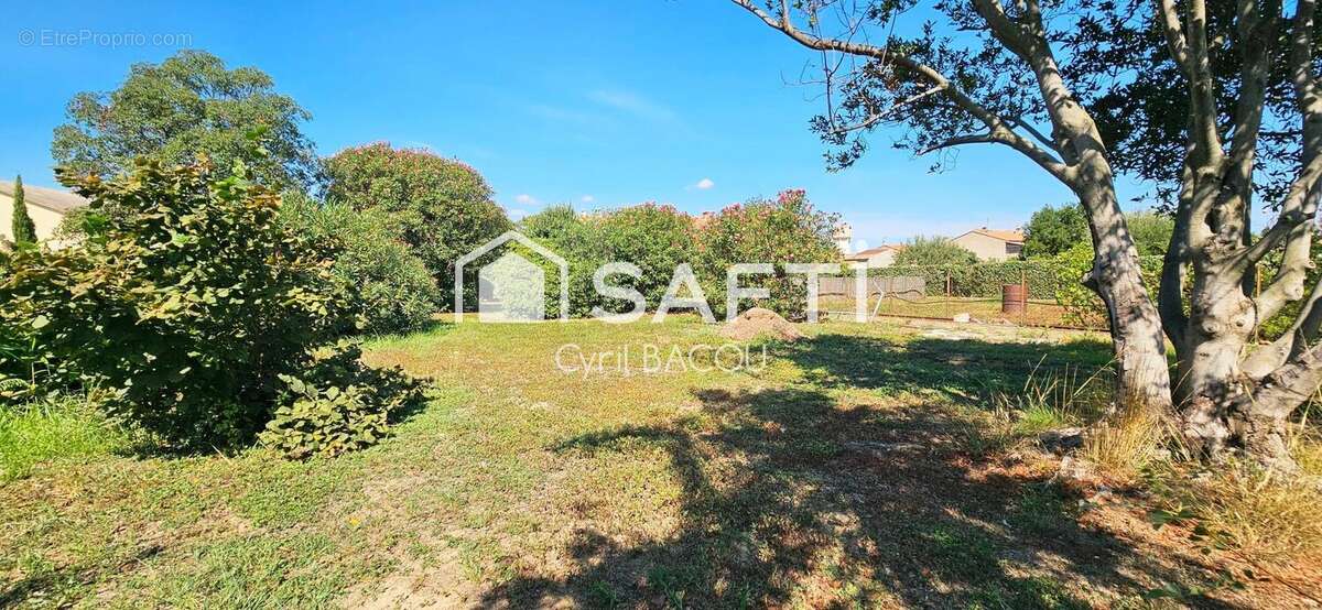 Photo 4 - Maison à TOULOUGES