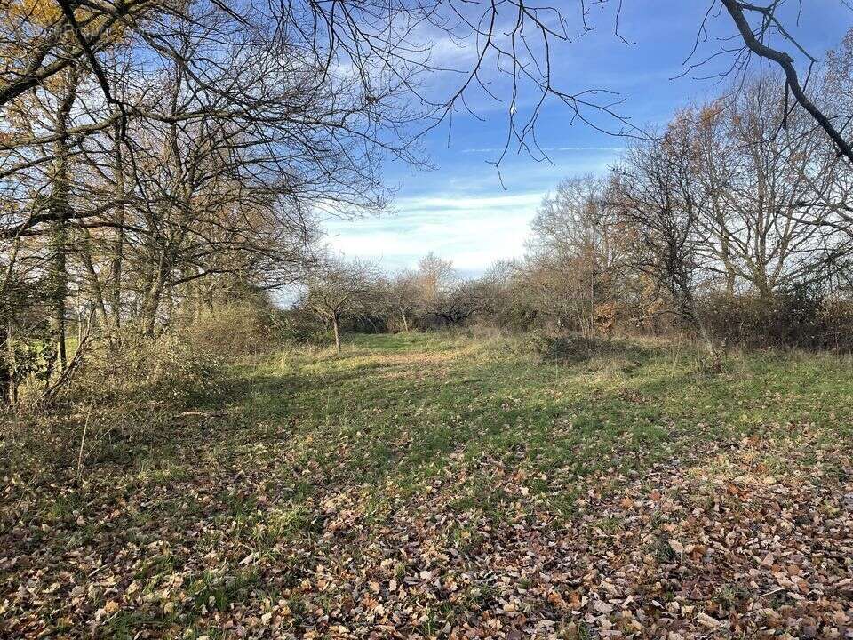 terrain beau tout à l&#039;egout bonne situation à batir - Terrain à SAINT-SYLVESTRE-PRAGOULIN