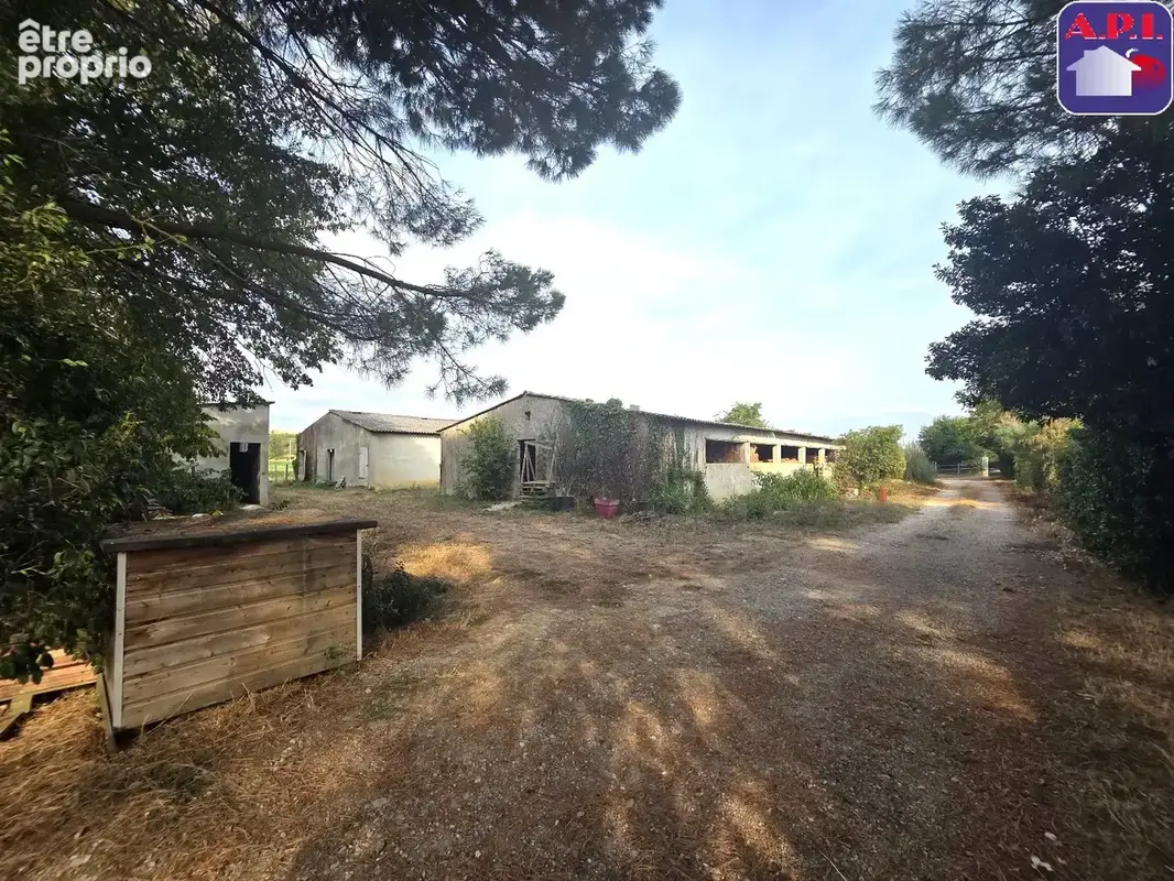 Maison 373 m² à Mazeres  - photo 4