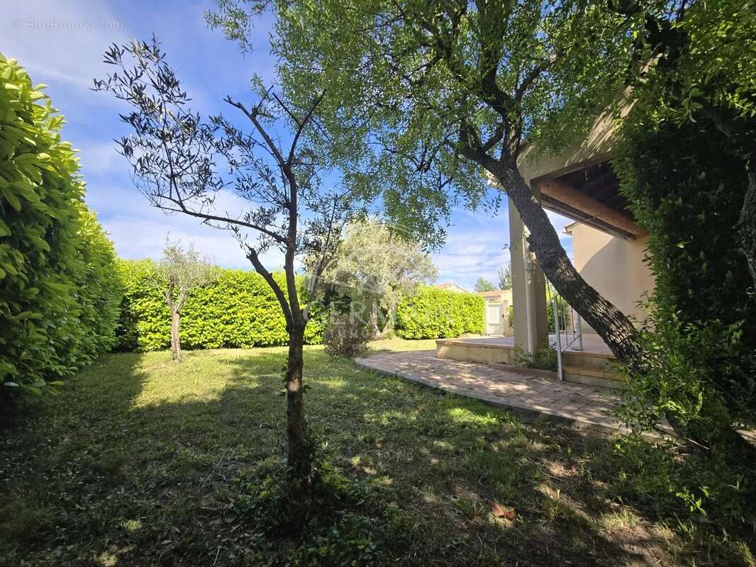 Maison à L'ISLE-SUR-LA-SORGUE