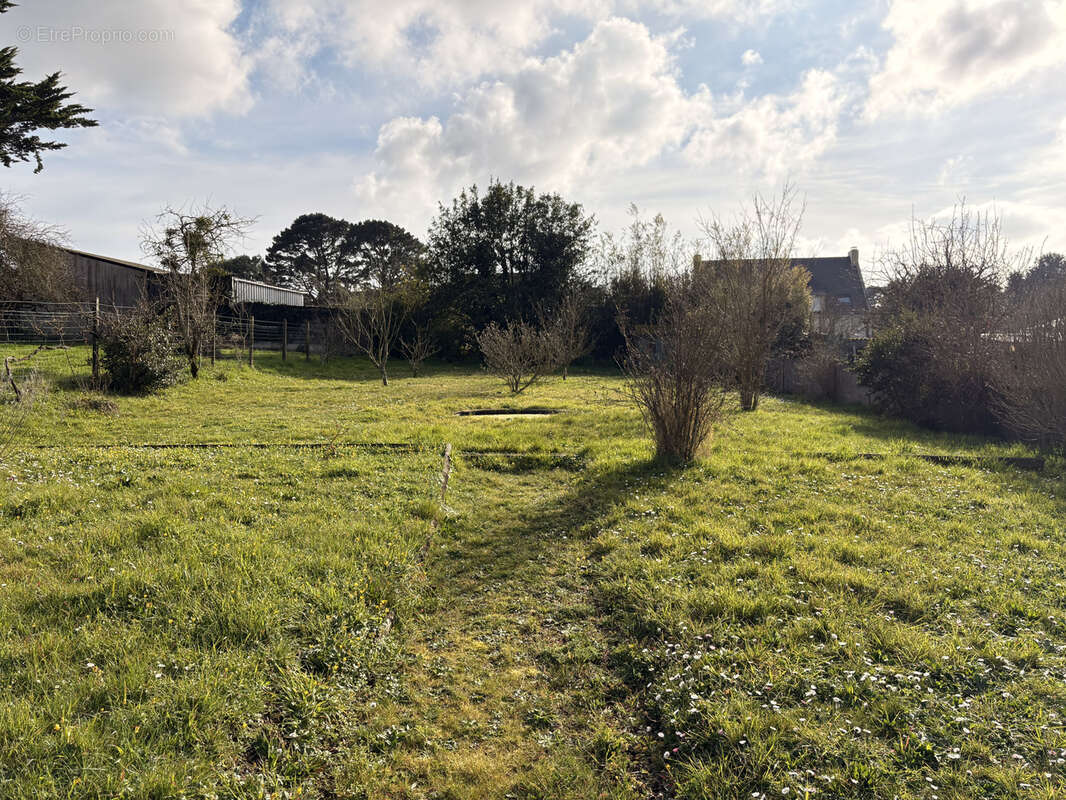 Terrain à PENESTIN