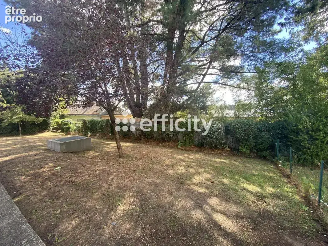 Appartement - photo 2