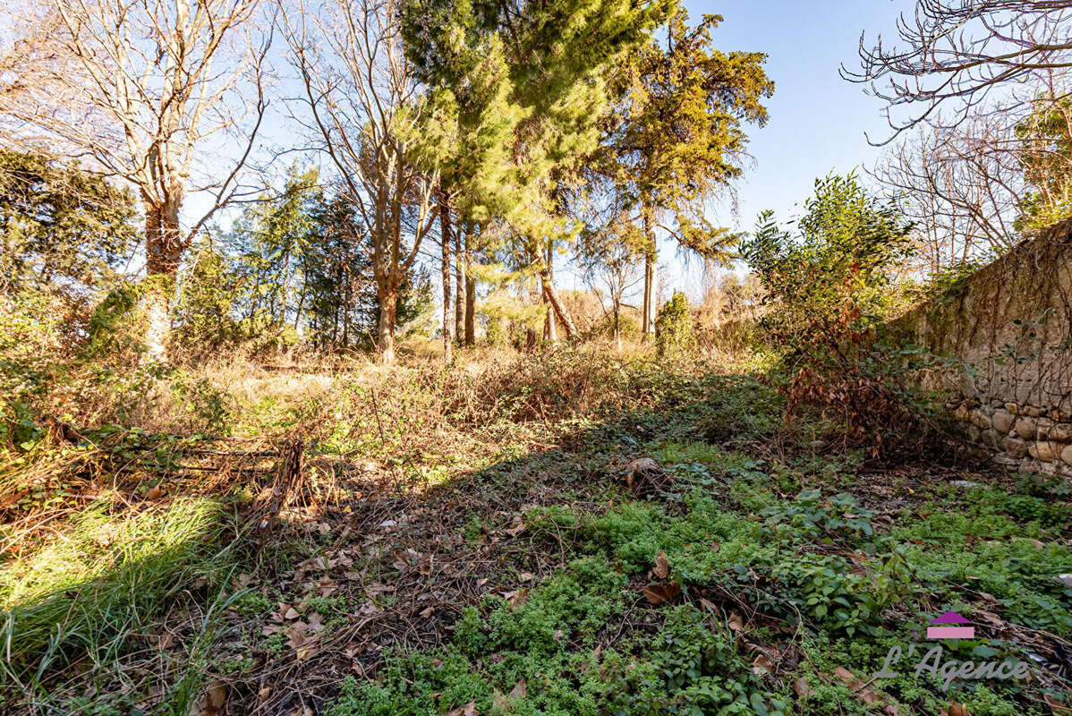 TOULOUGES / PERPIGNAN - Vieux Moulin à restaurer + terrain - photo 3