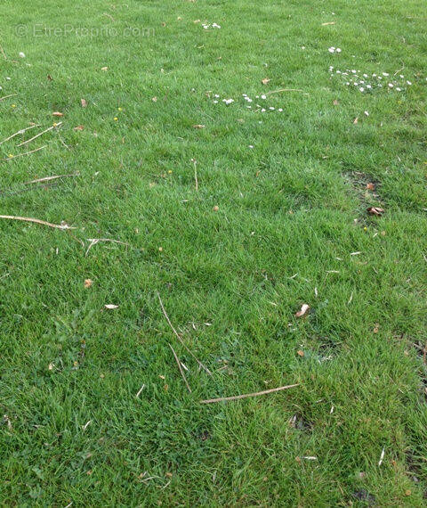 Terrain à LES ARTIGUES-DE-LUSSAC