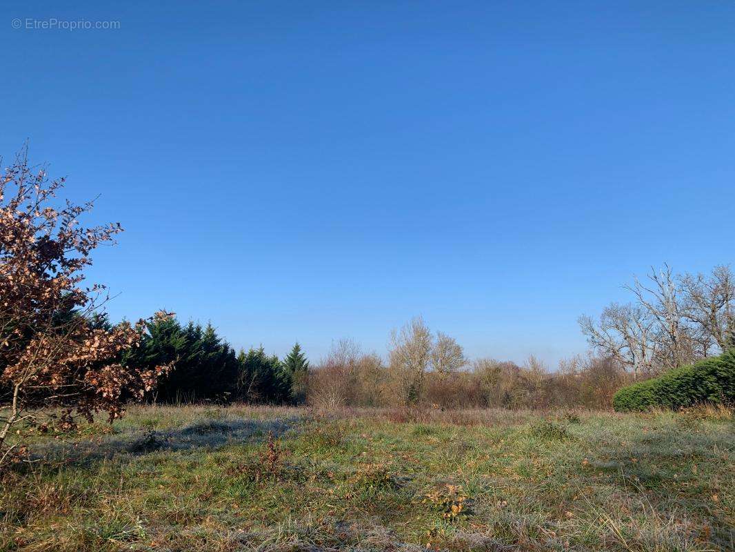 Terrain à FLEURANCE