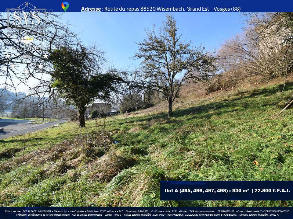 Terrain à WISEMBACH