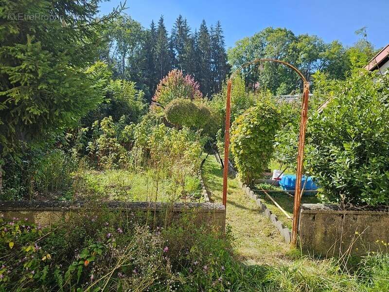 Commerce à LA ROCHE-SUR-FORON