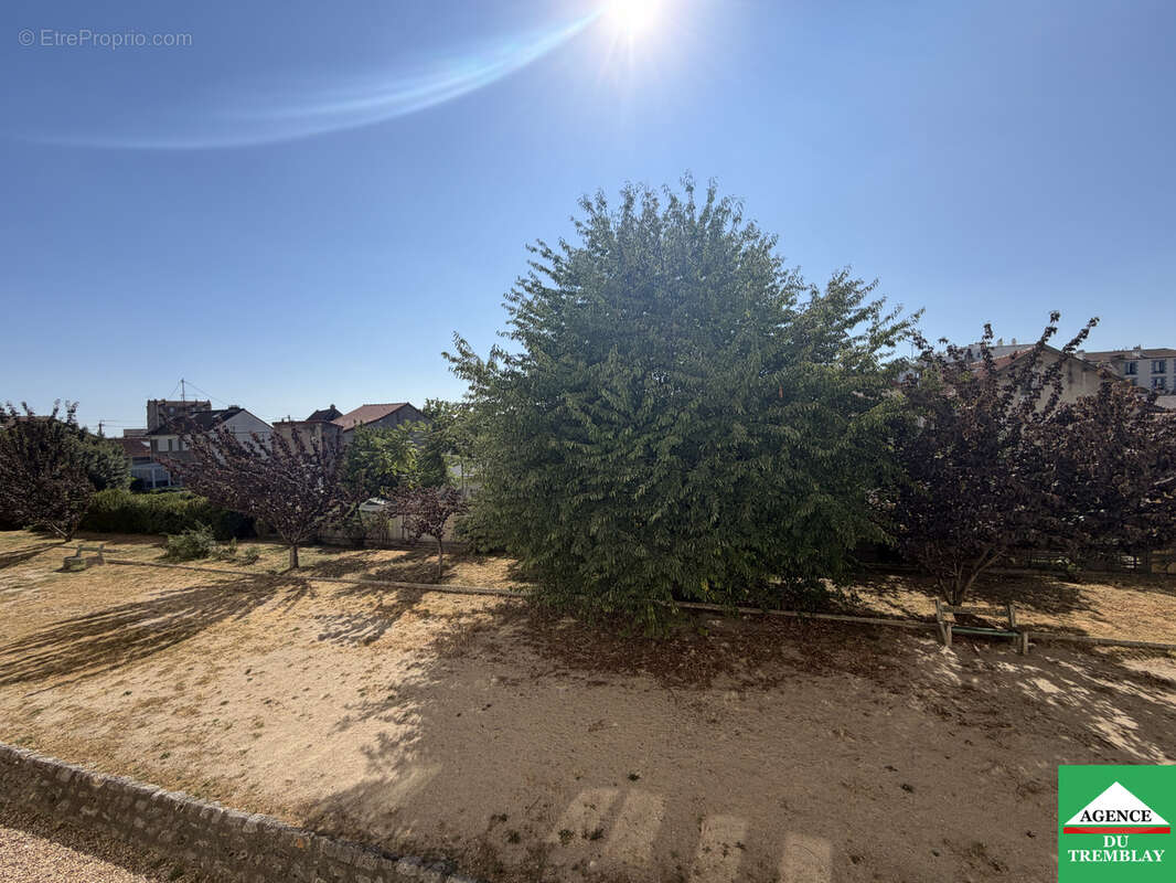 Exclusivite - plant - photo 6