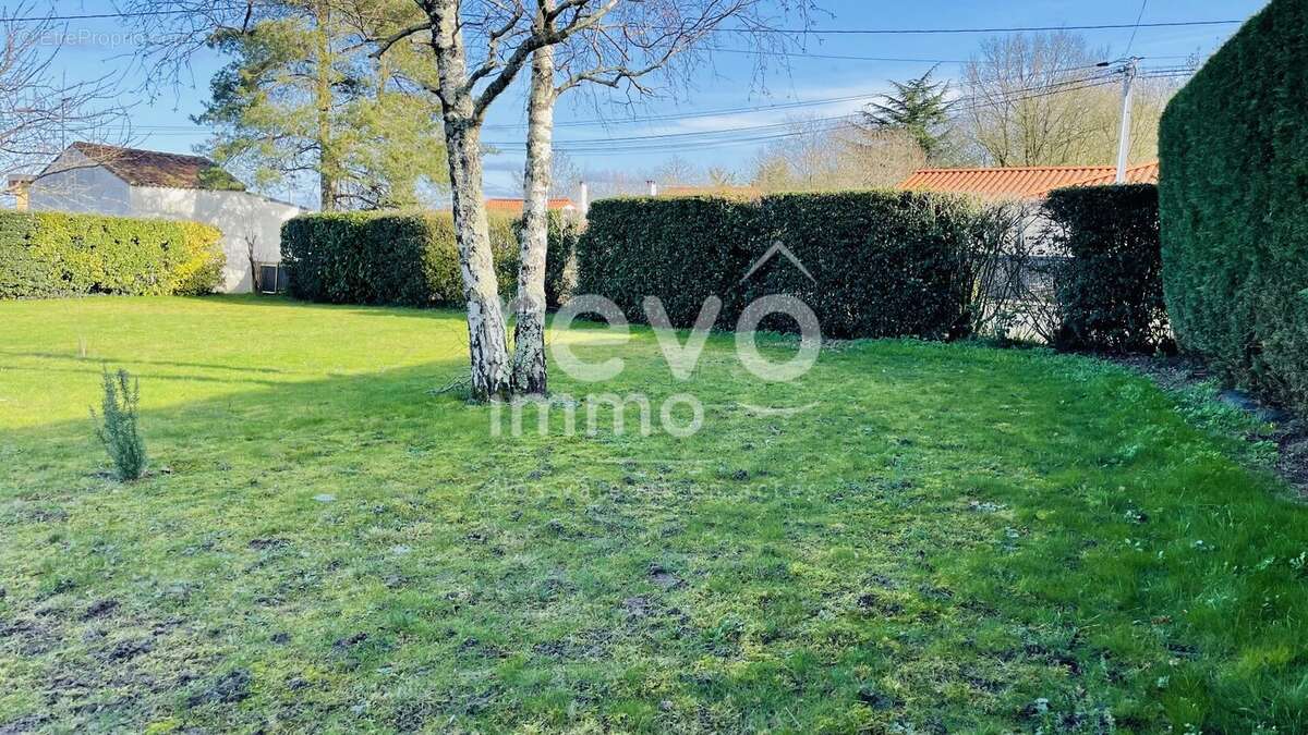 Terrain à CHAMPTOCEAUX