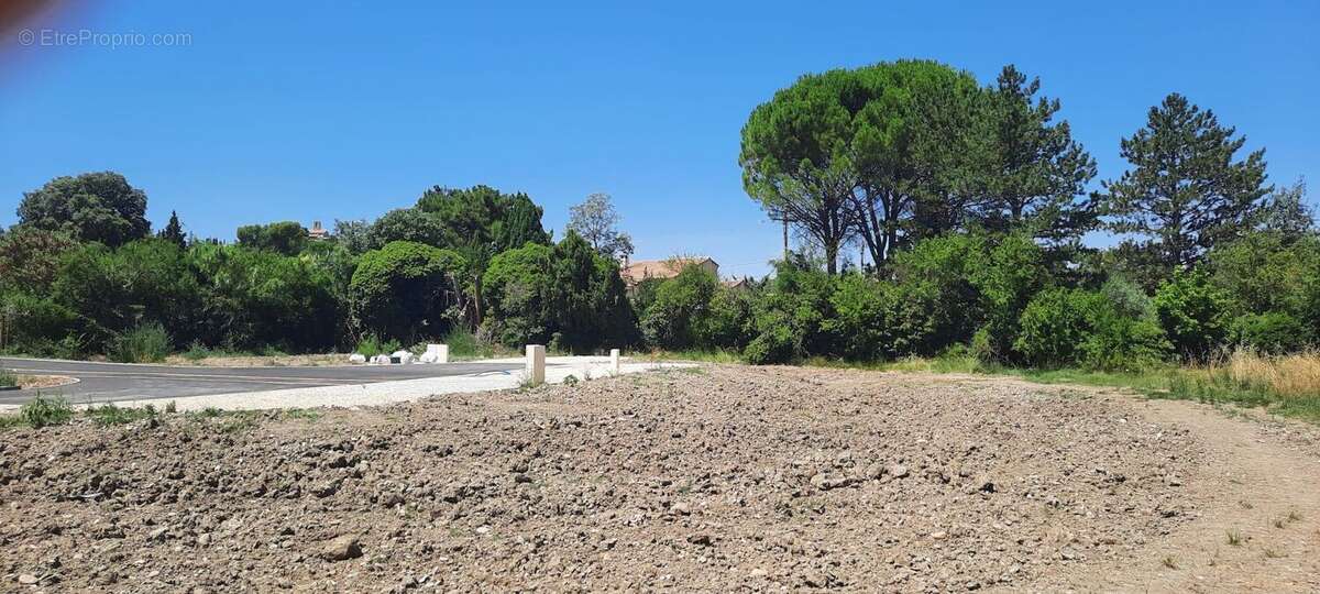 Terrain 420 m² à Chateauneuf-De-Gadagne  - photo 2