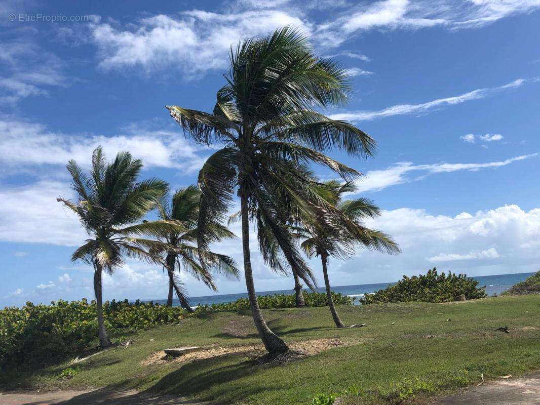 Un appartement à Anse des Rochers SAINT FRANCOIS (971) - photo 9