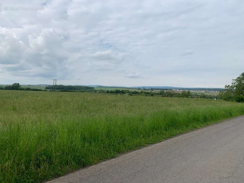 Terrain 461 m² à Distroff  - photo 2