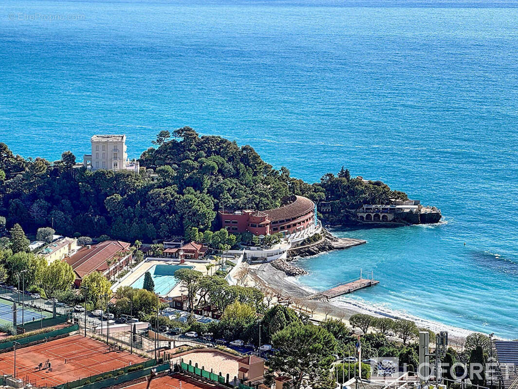 Opportunité rare - Luxueuse Villa aux portes de Monaco - photo 3