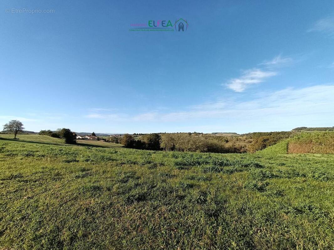 n°1 - Terrain à MONTCHENU