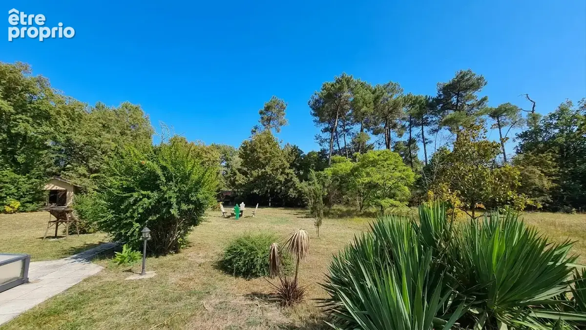 10 min de langon - maison 5 chs - piscine - terrain 8800 m2 - photo 4