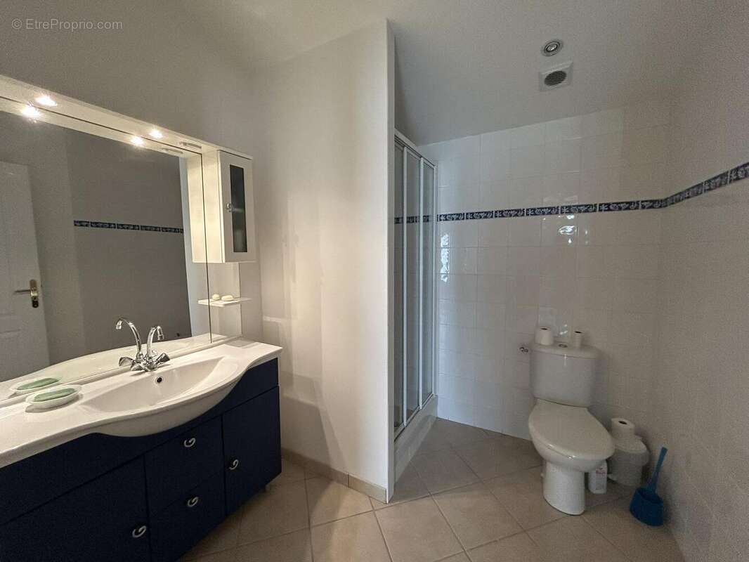 IMG9360 - Maison à SAINT-SYMPHORIEN