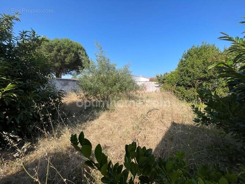 Terrain à LA FLOTTE