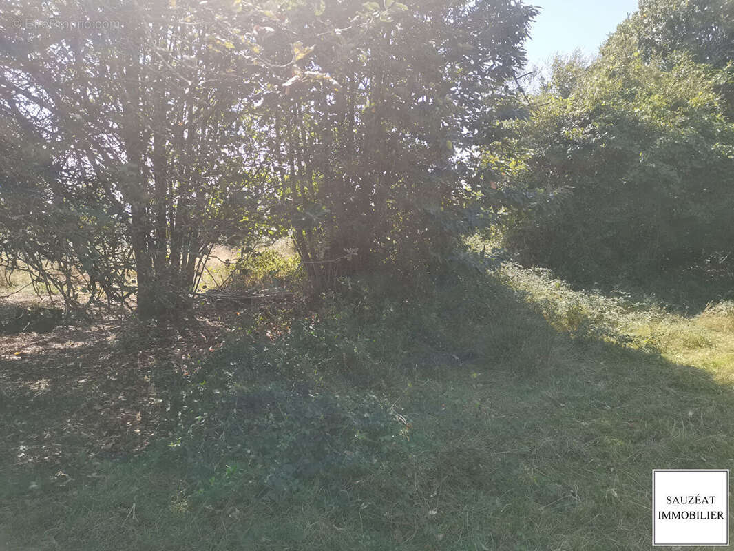 Terrain à MAGNAC-BOURG