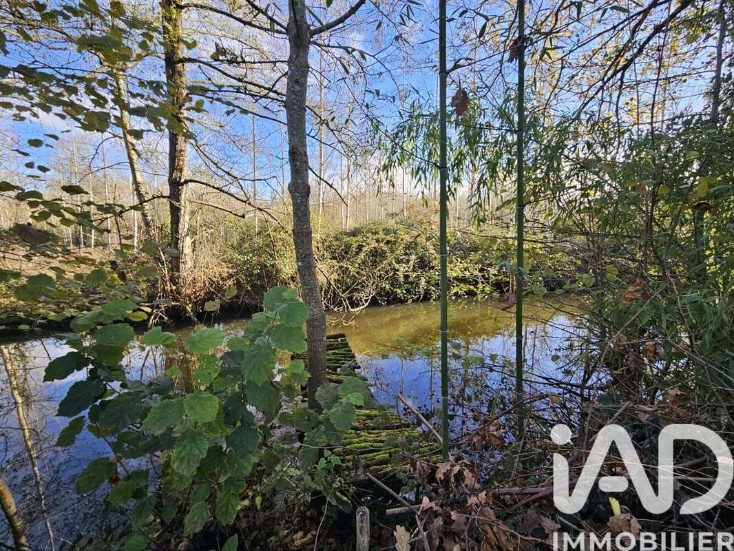 Photo 6 - Maison à DISSE-SOUS-LE-LUDE