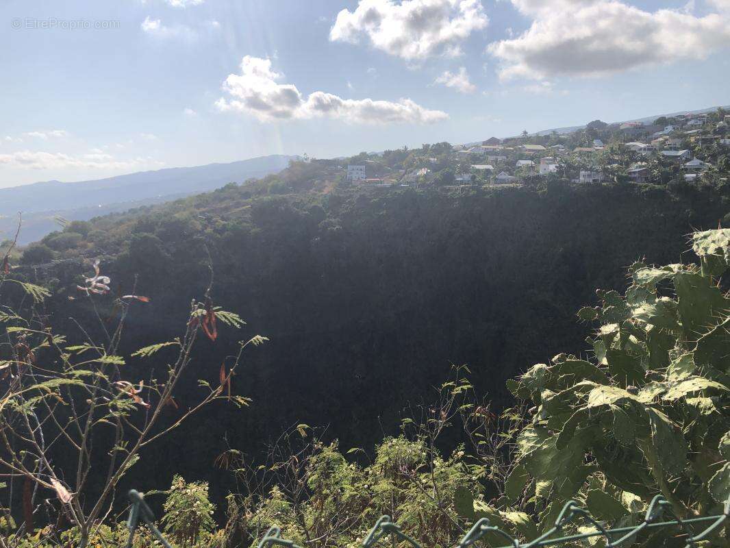 Terrain à SAINT-PAUL