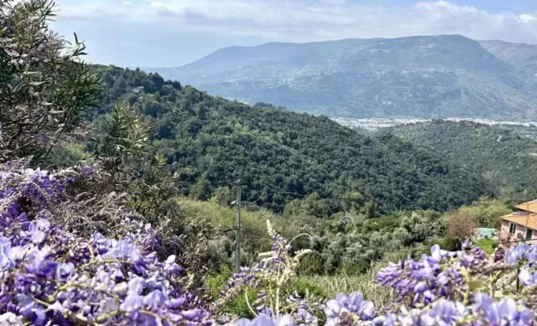 Maison à SAINT-BLAISE