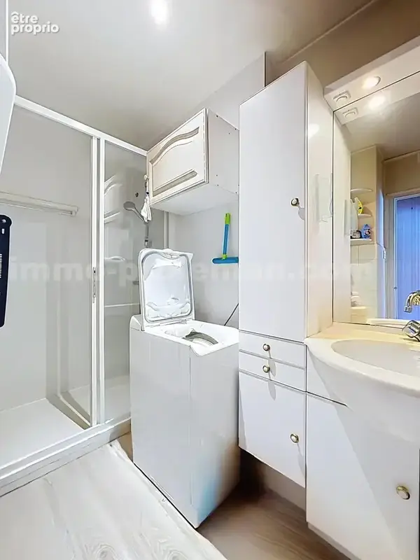 Appartement_T2_Annemasse_belle_superficie_prox_frontière_Suisse_tram_Ceva_direction_GENEVE_Frontaliers_Salle_d'eau_
