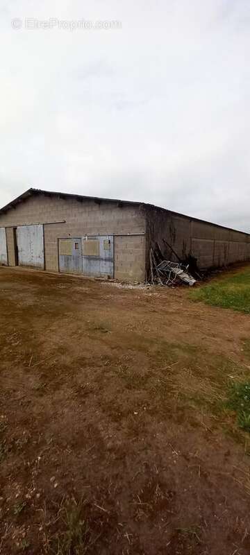 Maison à SAINT-JEAN-SUR-VEYLE