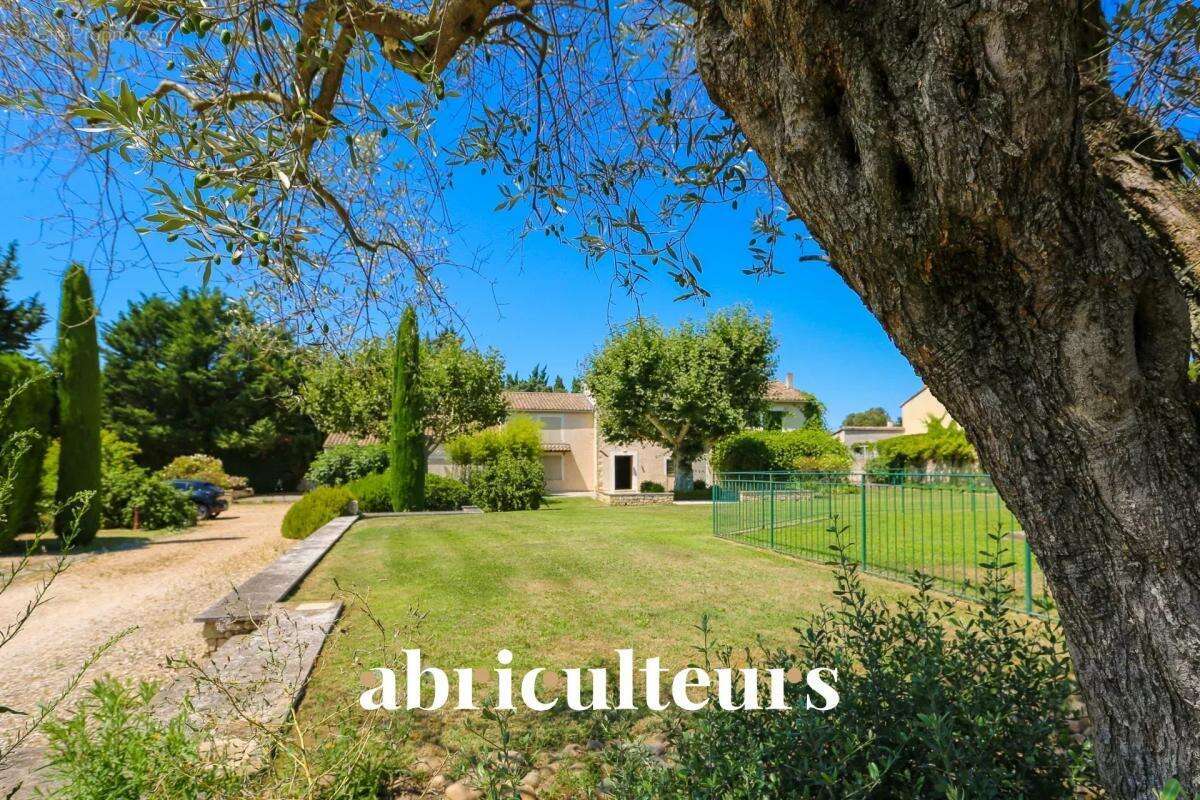 Maison à CHEVAL-BLANC