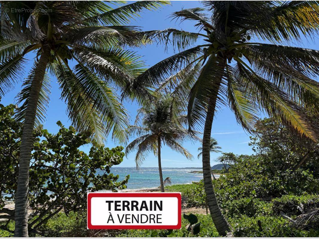 Terrain à PETIT-CANAL