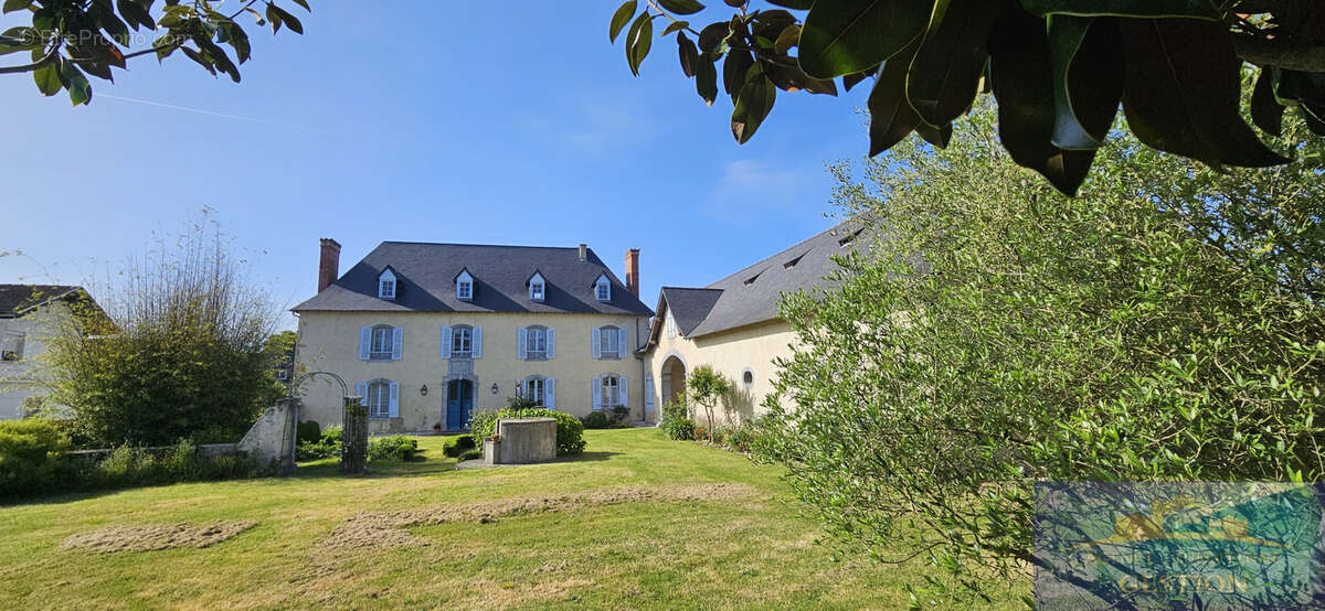 Authentique bearnaise - photo 28