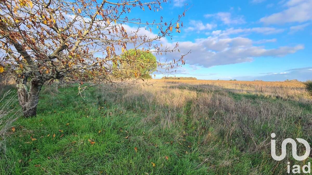 Photo 1 - Terrain à JAUNAY-CLAN