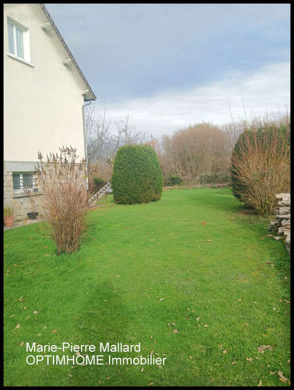 Maison à PEYRAT-LE-CHATEAU