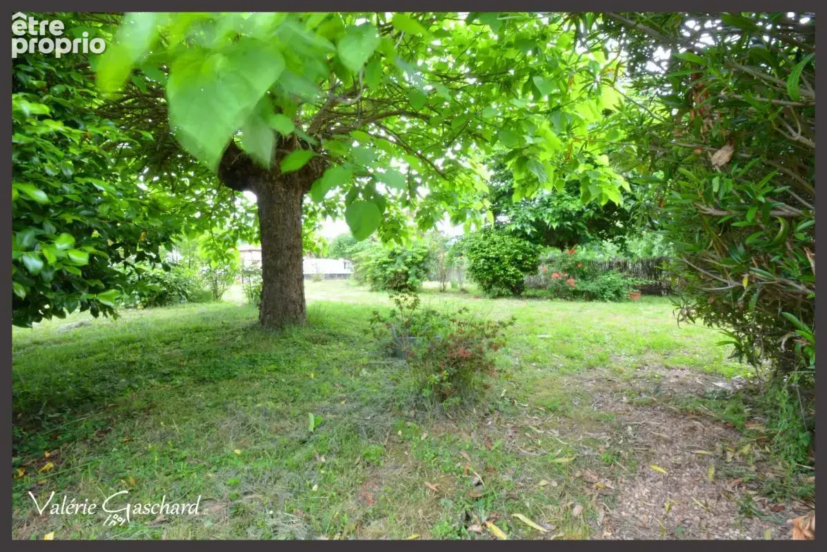 Maison familiale ou investissement à Port-Sainte-Foy-et-Ponchapt – 175 m² – 5 chambres – Double logement – Jardin 1038 m² - photo 4