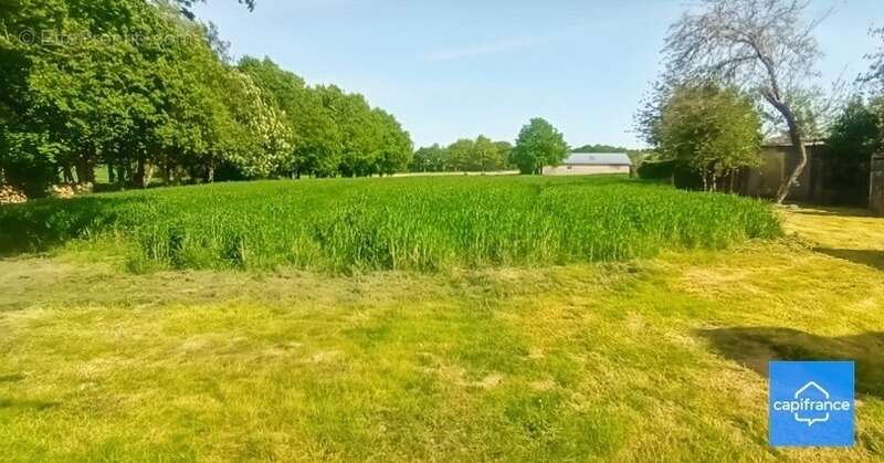 Maison à LA NOE-BLANCHE