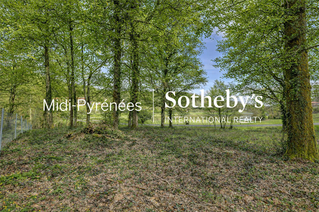 Terrain à BUZET-SUR-TARN