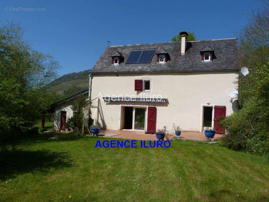 P1080492 - Maison à OLORON-SAINTE-MARIE