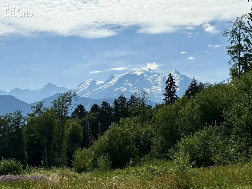 Terrain constructible de 9210 m² à Combloux - photo 4