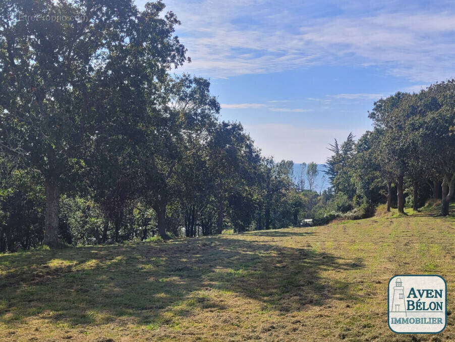 Maison à MOELAN-SUR-MER