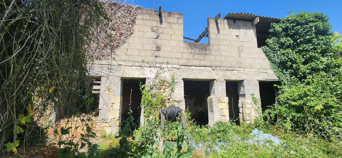 Maison à CURZAY-SUR-VONNE