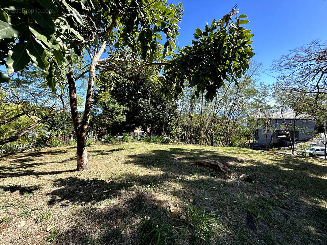 Terrain à LA POSSESSION