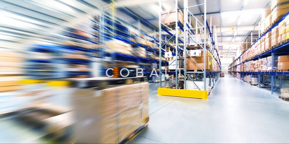 Commerce à PAIMBOEUF