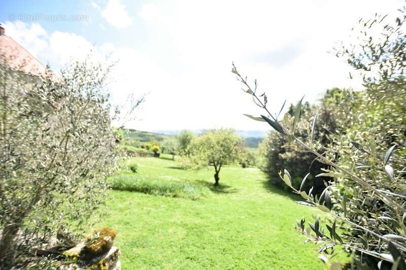 Maison à SAINT-JEAN-DE-TREZY