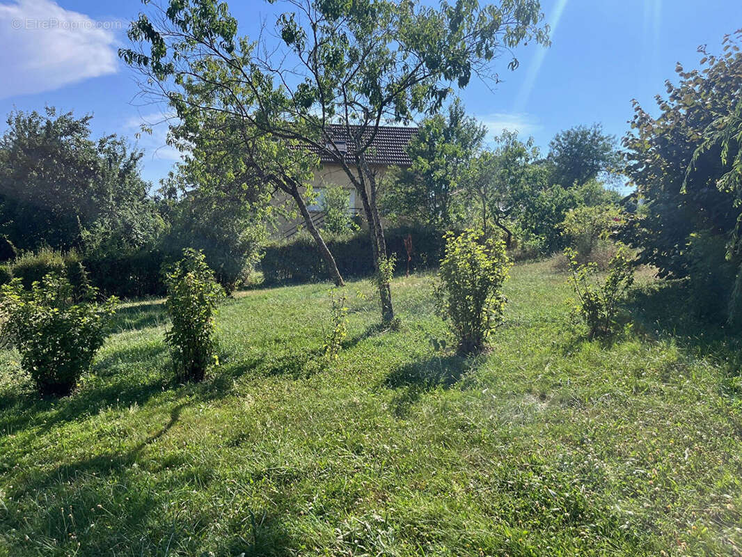 Parcelle de Terrain à batir à SERRE LES SAPINS - photo 10