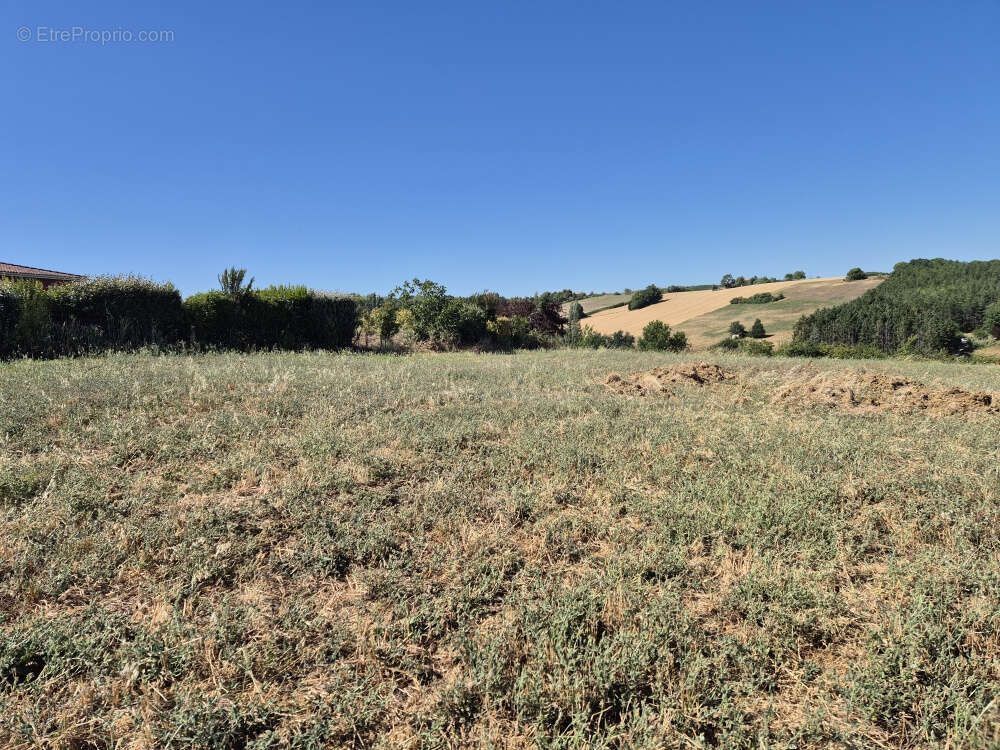 Coteaux de rabastens - photo 3