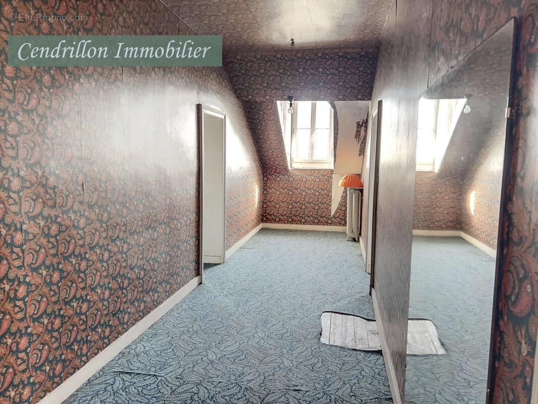 Belle maison bourgeoise entièrement rénovée, 350m2 habitables,  sur son parc de 4000m2 au cœur de la ville - photo 22