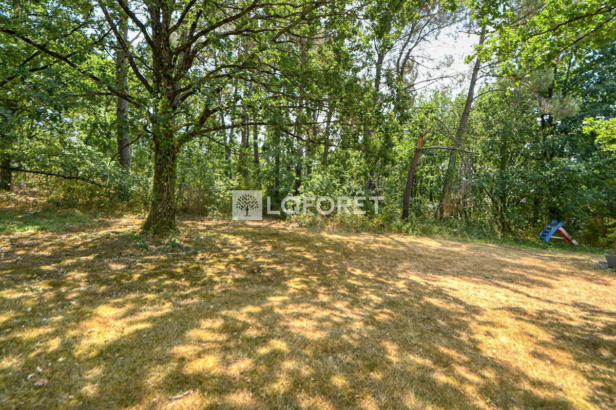 Propriété de 191 m² avec deux habitations indépendantes, piscine et hangar de 140 m² à vendre à Montans - photo 15