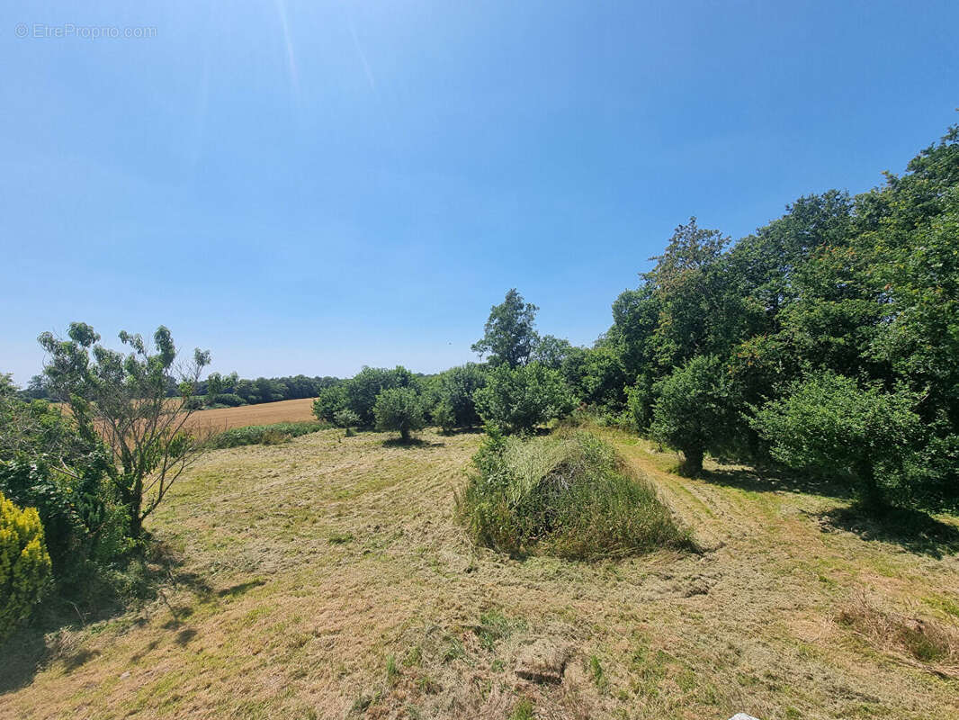 Maison à MOELAN-SUR-MER