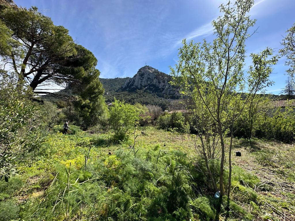Terrain à TOULON